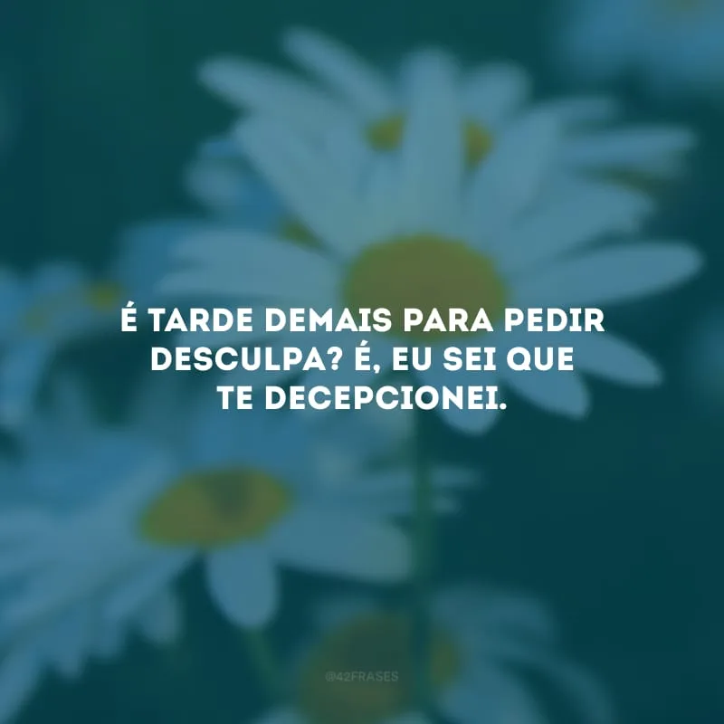 É tarde demais para pedir desculpa? É, eu sei que te decepcionei.