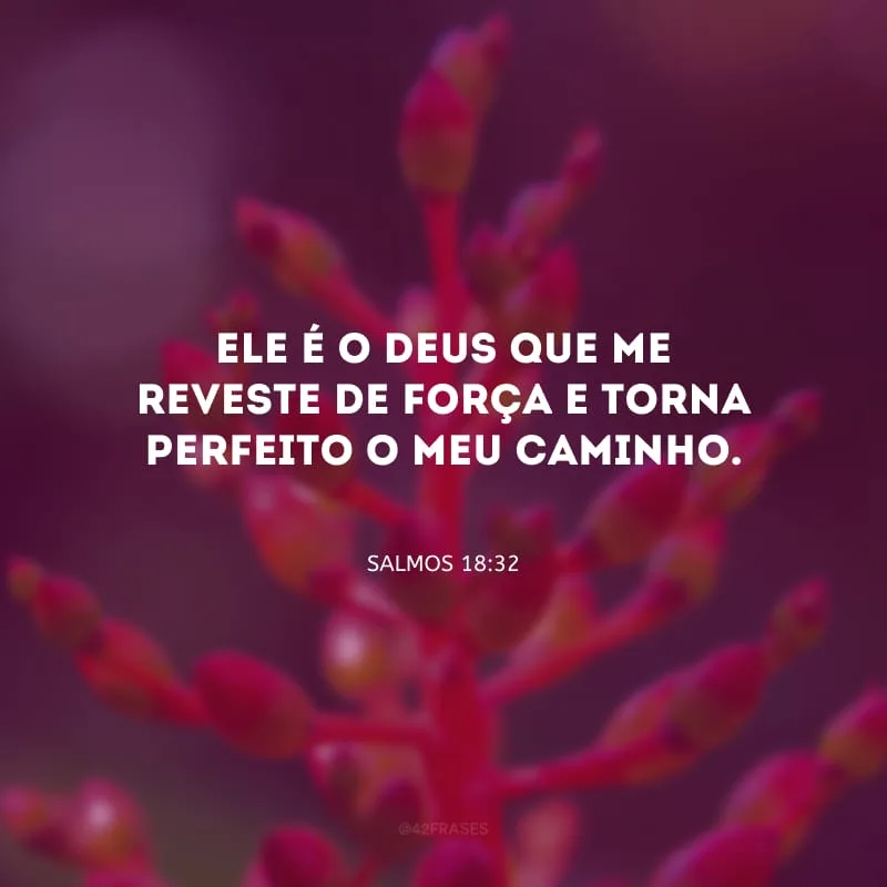 Ele é o Deus que me reveste de força e torna perfeito o meu caminho.