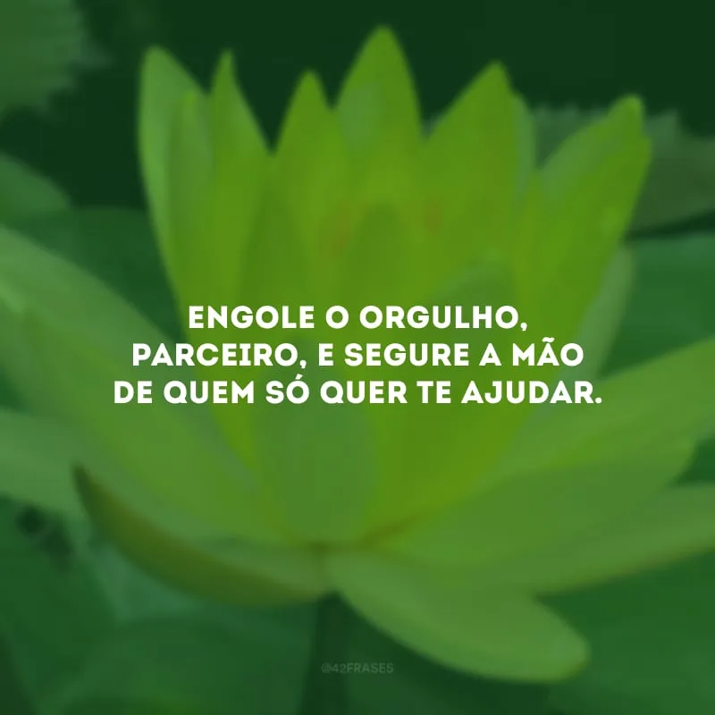 Engole o orgulho, parceiro, e segure a mão de quem só quer te ajudar. 