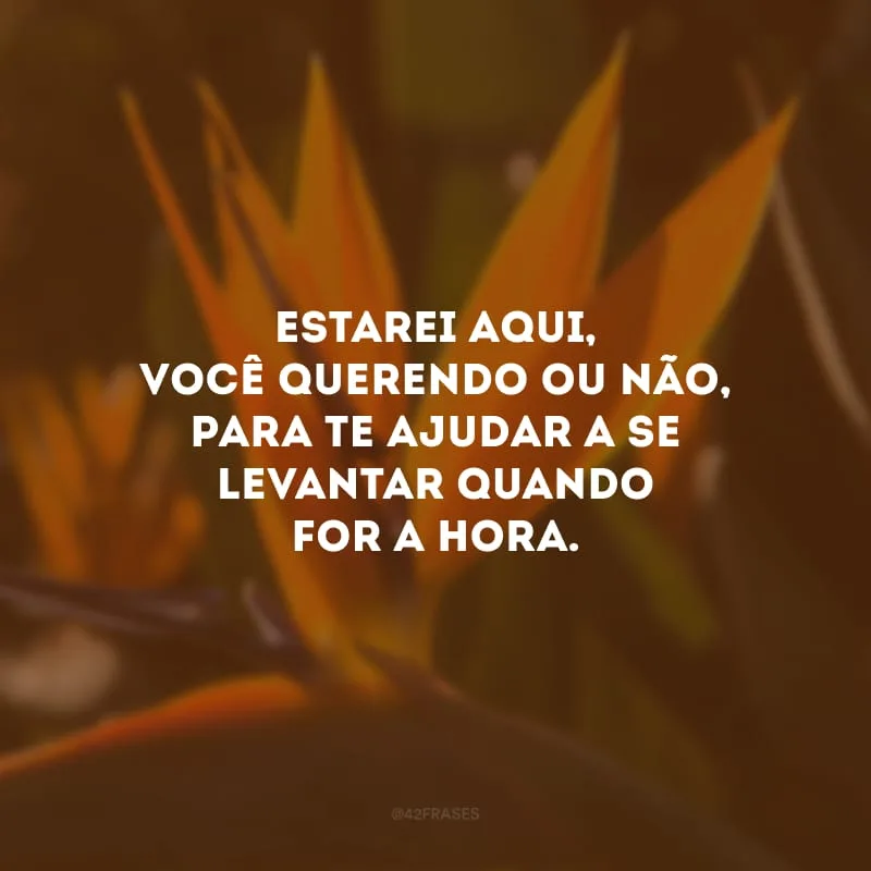Estarei aqui, você querendo ou não, para te ajudar a se levantar quando for a hora. 