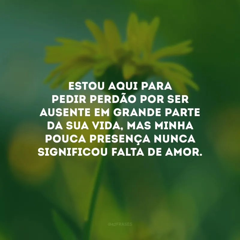Estou aqui para pedir perdão por ser ausente em grande parte da sua vida, mas minha pouca presença nunca significou falta de amor.