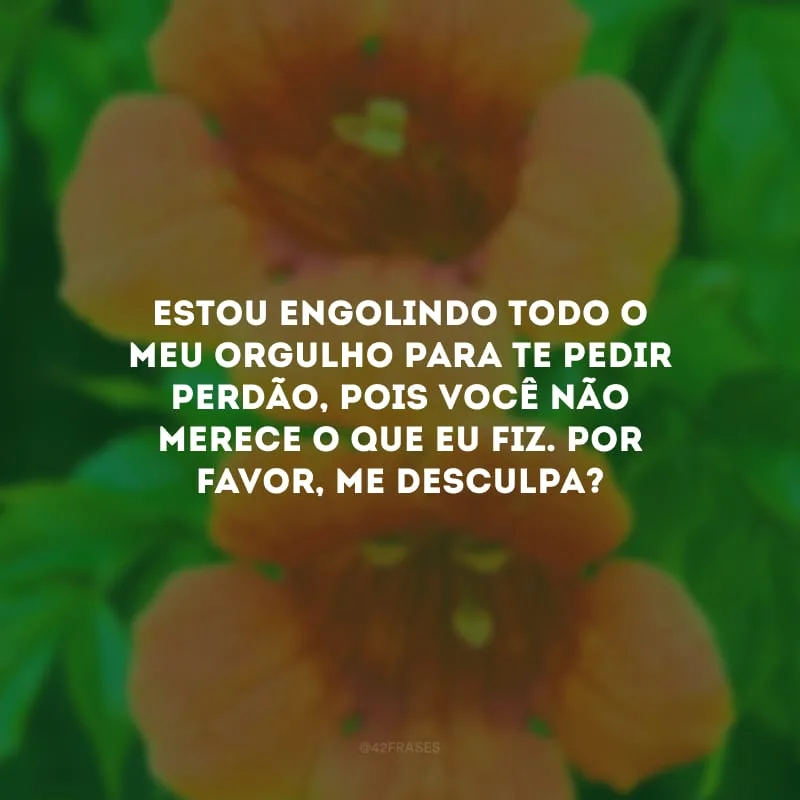 Estou engolindo todo o meu orgulho para te pedir perdão, pois você não merece o que eu fiz. Por favor, me desculpa?
