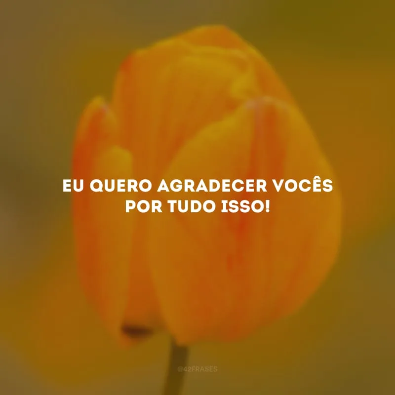 Eu quero agradecer vocês por tudo isso! 