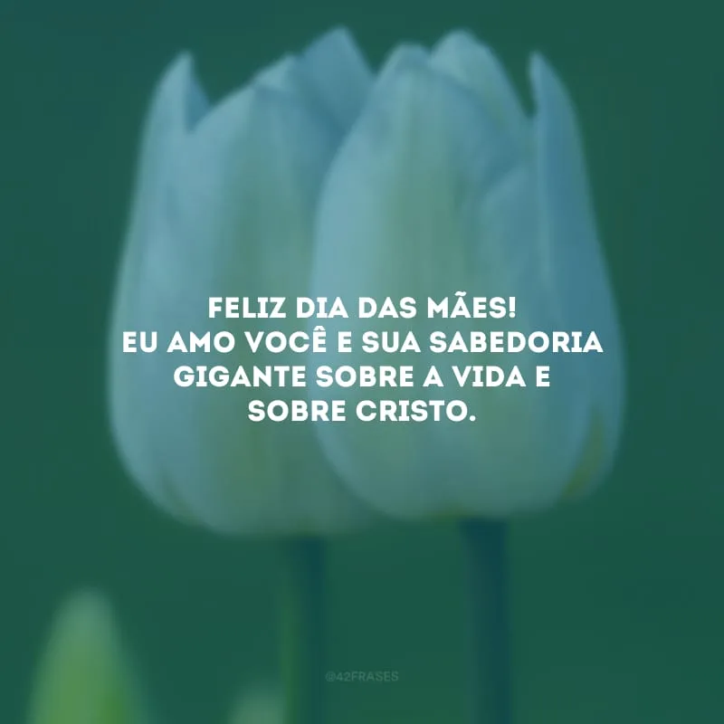 Feliz Dia das Mães! Eu amo você e sua sabedoria gigante sobre a vida e sobre Cristo.