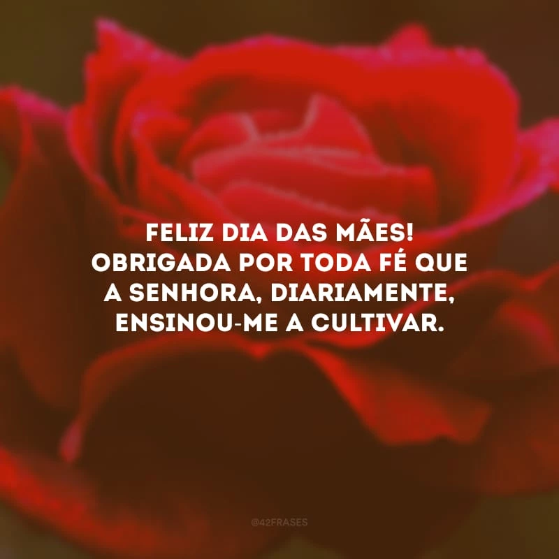 Feliz Dia das Mães! Obrigada por toda fé que a senhora, diariamente, ensinou-me a cultivar.