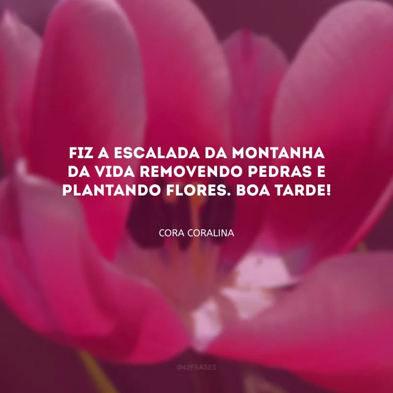 Fiz a escalada da montanha da vida removendo pedras e plantando flores. Boa tarde!