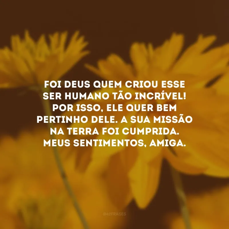 Foi Deus quem criou esse ser humano tão incrível! Por isso, Ele quer bem pertinho dele. A sua missão na terra foi cumprida. Meus sentimentos, amiga.