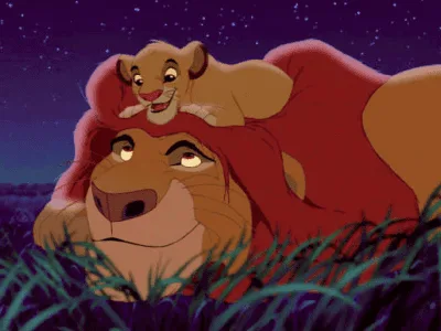 100 frases de filmes famosos para quem é apaixonado pela sétima arte