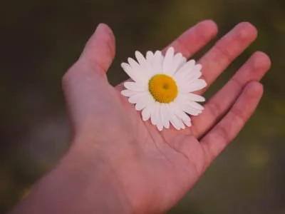 40 frases de flores Tumblr que perfumarão a sua timeline