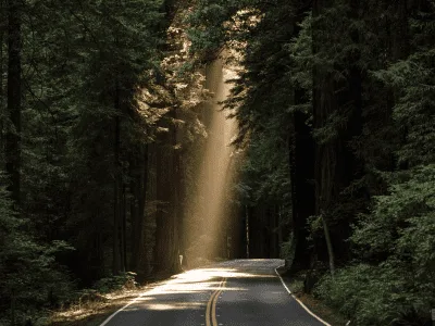 40 frases sobre estrada para você aproveitar toda a jornada