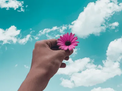 40 frases sobre florescer para aguardar a primavera que vem chegando