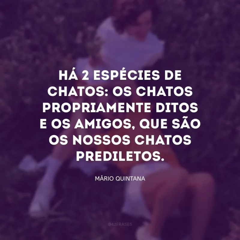 Há 2 espécies de chatos: os chatos propriamente ditos e os amigos, que são os nossos chatos prediletos.