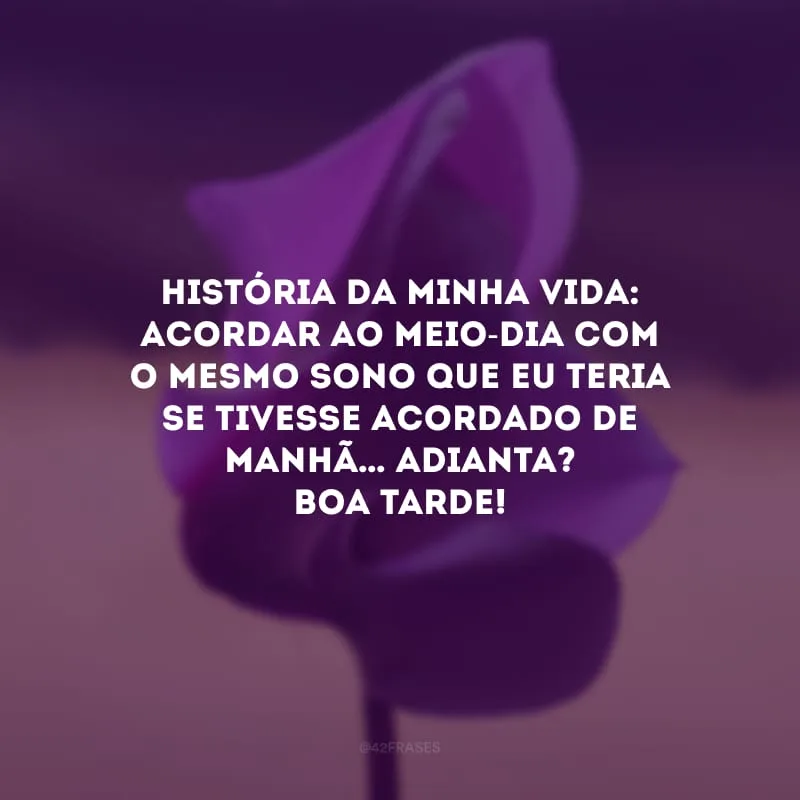 História da minha vida: acordar ao meio-dia com o mesmo sono que eu teria se tivesse acordado de manhã… Adianta? Boa tarde!
