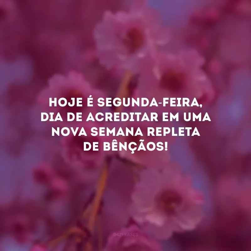 Hoje é segunda-feira, dia de acreditar em uma nova semana repleta de bênçãos!