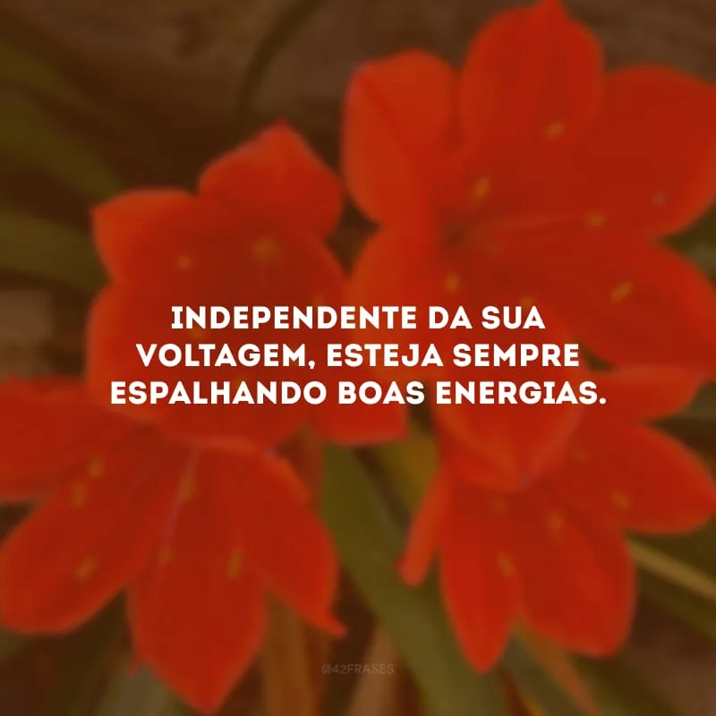 Independente da sua voltagem, esteja sempre espalhando boas energias.