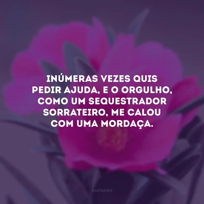 Inúmeras vezes quis pedir ajuda, e o orgulho, como um sequestrador sorrateiro, me calou com uma mordaça. 