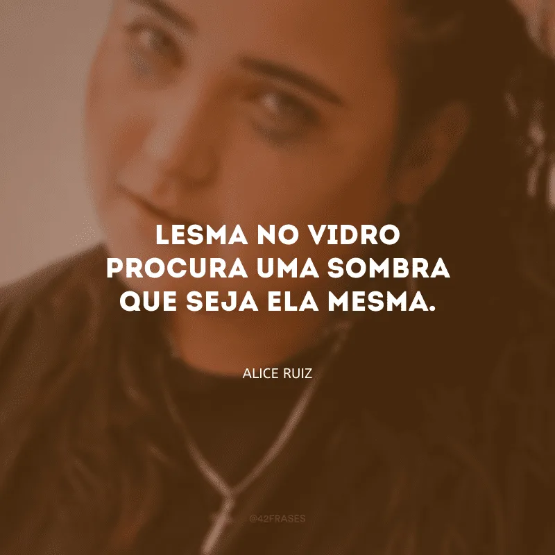 Lesma no vidro procura uma sombra que seja ela mesma. 