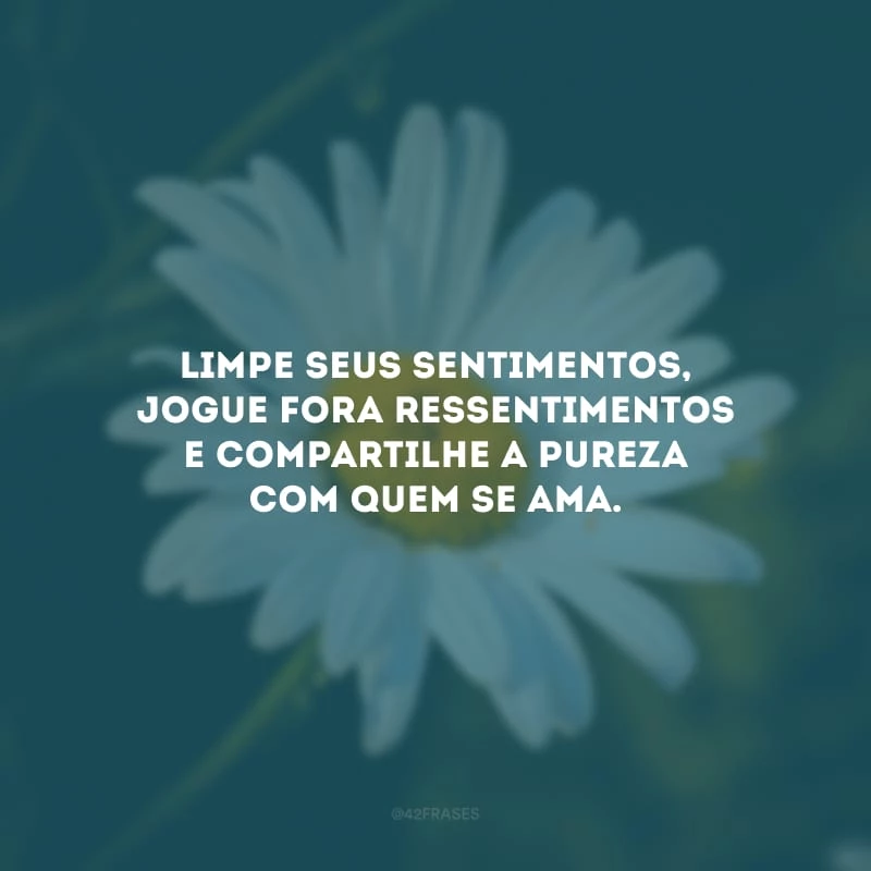 Limpe seus sentimentos, jogue fora ressentimentos e compartilhe a pureza com quem se ama.