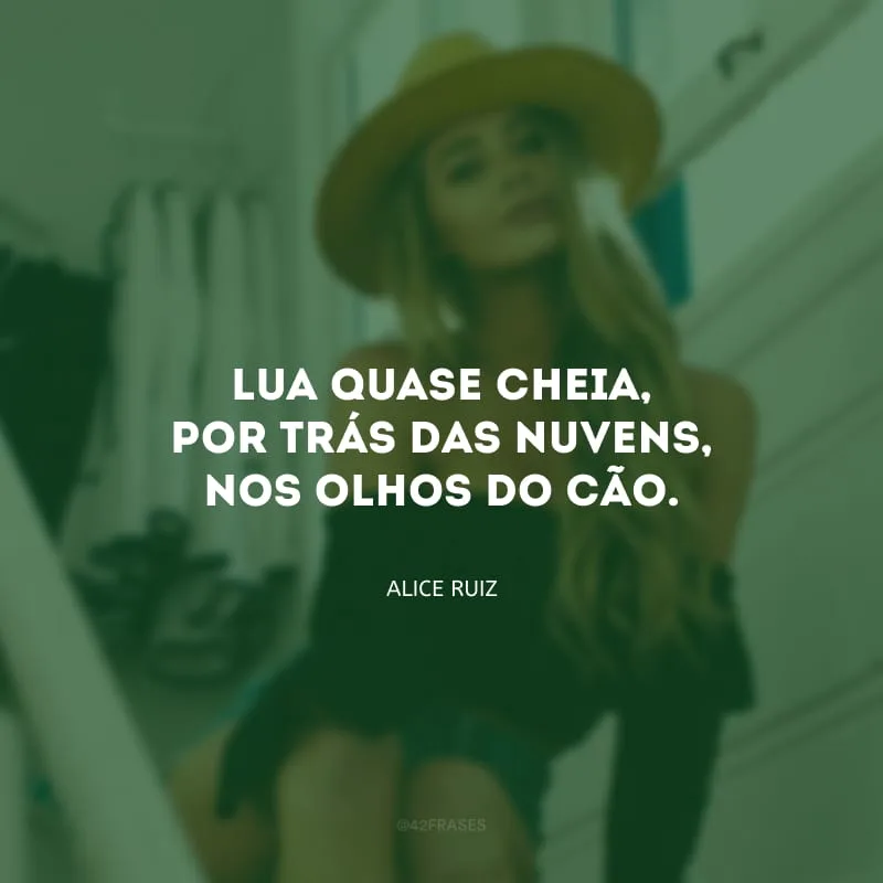 Lua quase cheia, por trás das nuvens, nos olhos do cão.