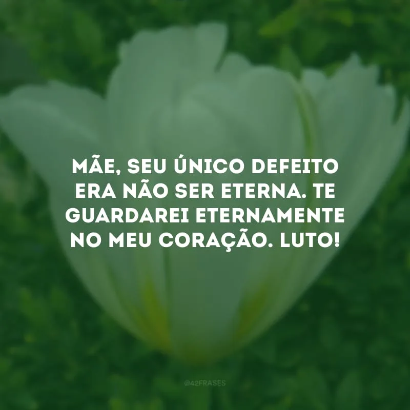 Mãe, seu único defeito era não ser eterna. Te guardarei eternamente no meu coração. Luto!