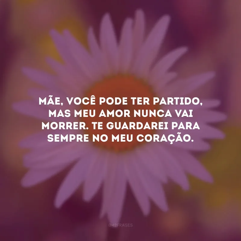 Mãe, você pode ter partido, mas meu amor nunca vai morrer. Te guardarei para sempre no meu coração.