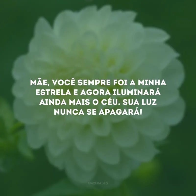 Mãe, você sempre foi a minha estrela e agora iluminará ainda mais o céu. Sua luz nunca se apagará!
