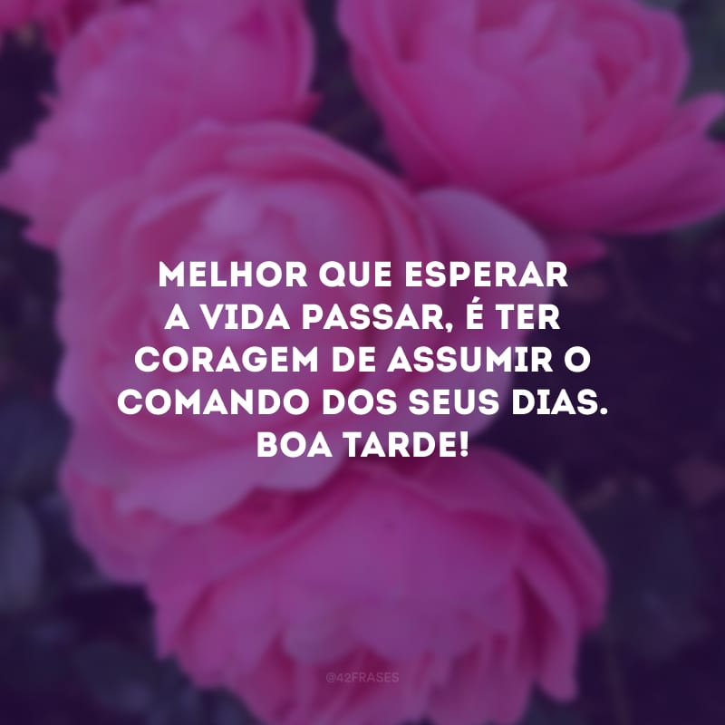 Melhor que esperar a vida passar, é ter coragem de assumir o comando dos seus dias. Boa tarde!