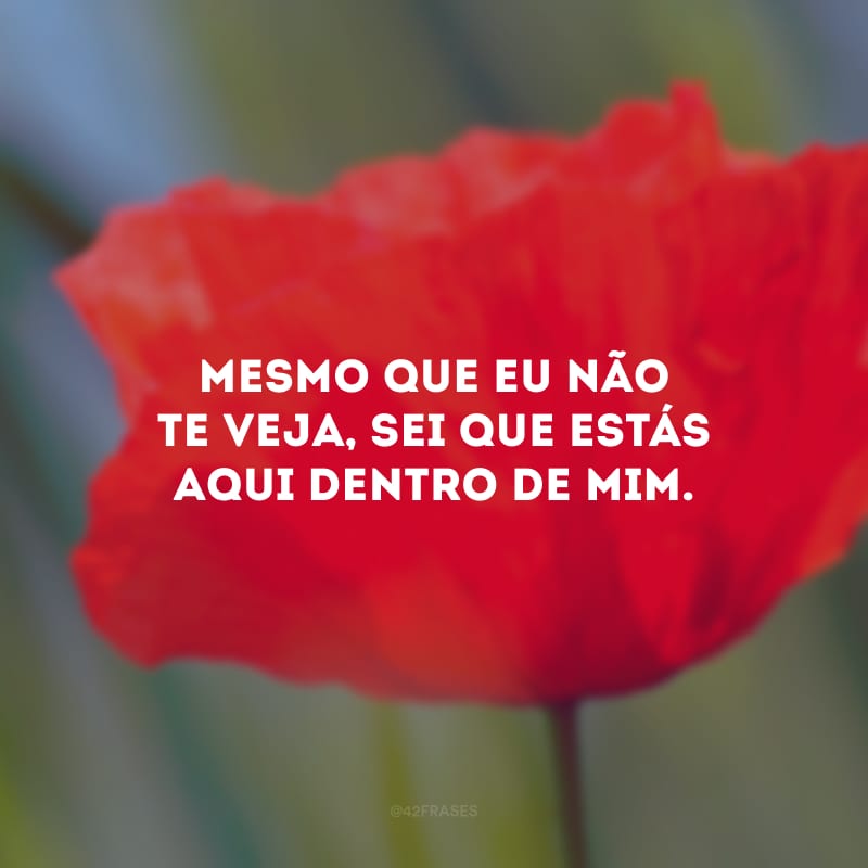 Mesmo que eu não te veja, sei que estás aqui dentro de mim.