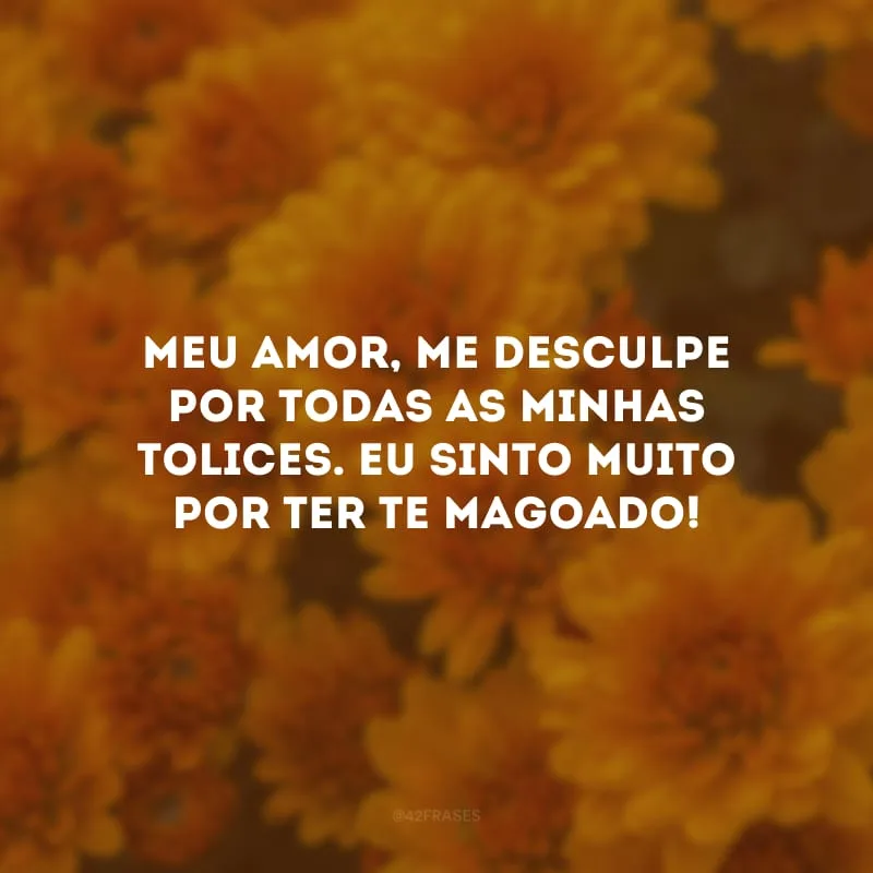 Meu amor, me desculpe por todas as minhas tolices. Eu sinto muito por ter te magoado!