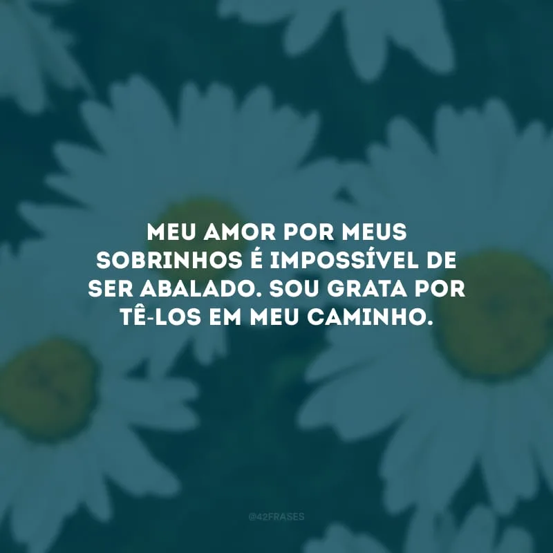 Meu amor por meus sobrinhos é impossível de ser abalado. Sou grata por tê-los em meu caminho.