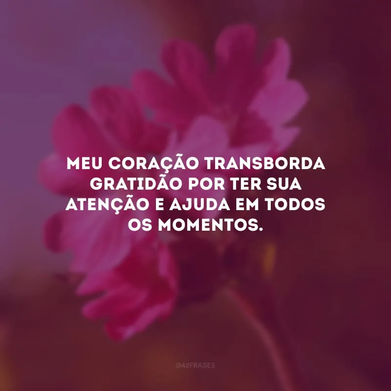 Meu coração transborda gratidão por ter sua atenção e ajuda em todos os momentos.