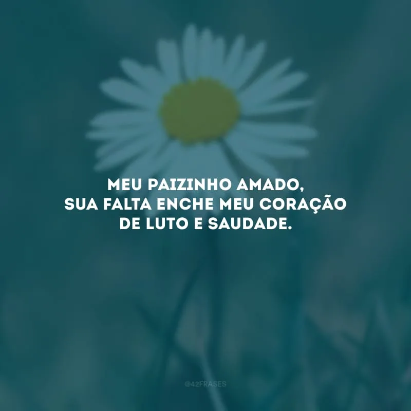 Meu paizinho amado, sua falta enche meu coração de luto e saudade.