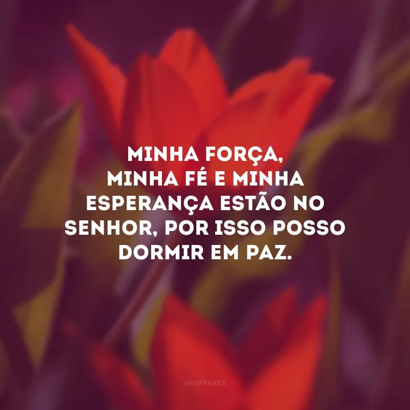 Minha força, minha fé e minha esperança estão no Senhor, por isso posso dormir em paz. 