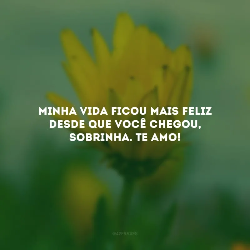Minha vida ficou mais feliz desde que você chegou, sobrinha. Te amo!