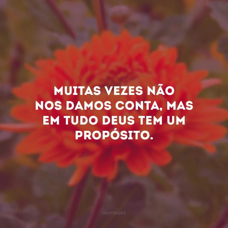 Muitas vezes não nos damos conta, mas em tudo Deus tem um propósito. 