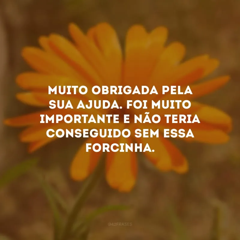 Muito obrigada pela sua ajuda. Foi muito importante e não teria conseguido sem essa forcinha.