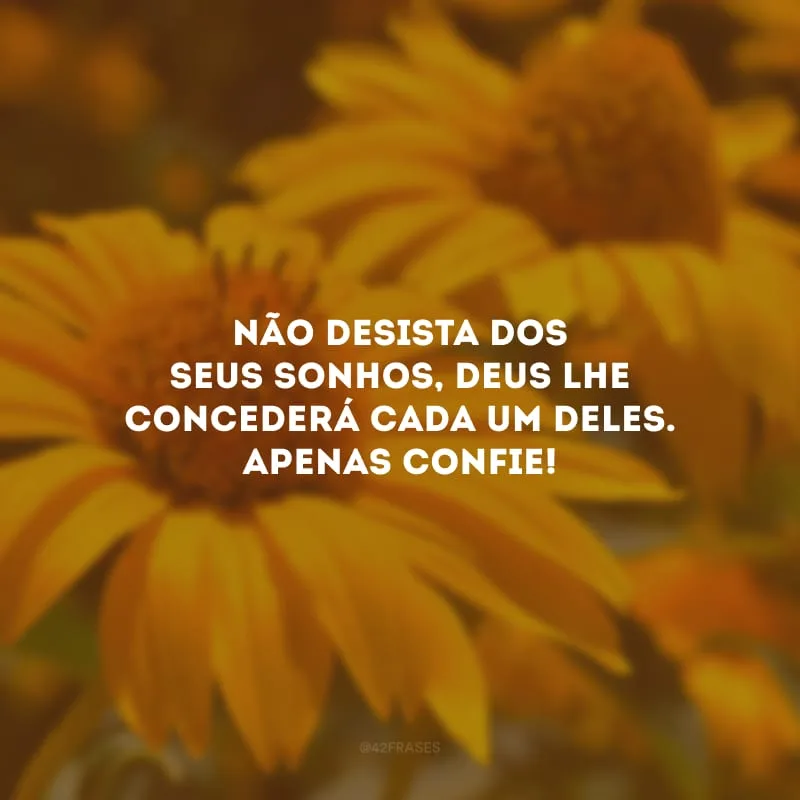 Não desista dos seus sonhos, Deus lhe concederá cada um deles. Apenas confie!