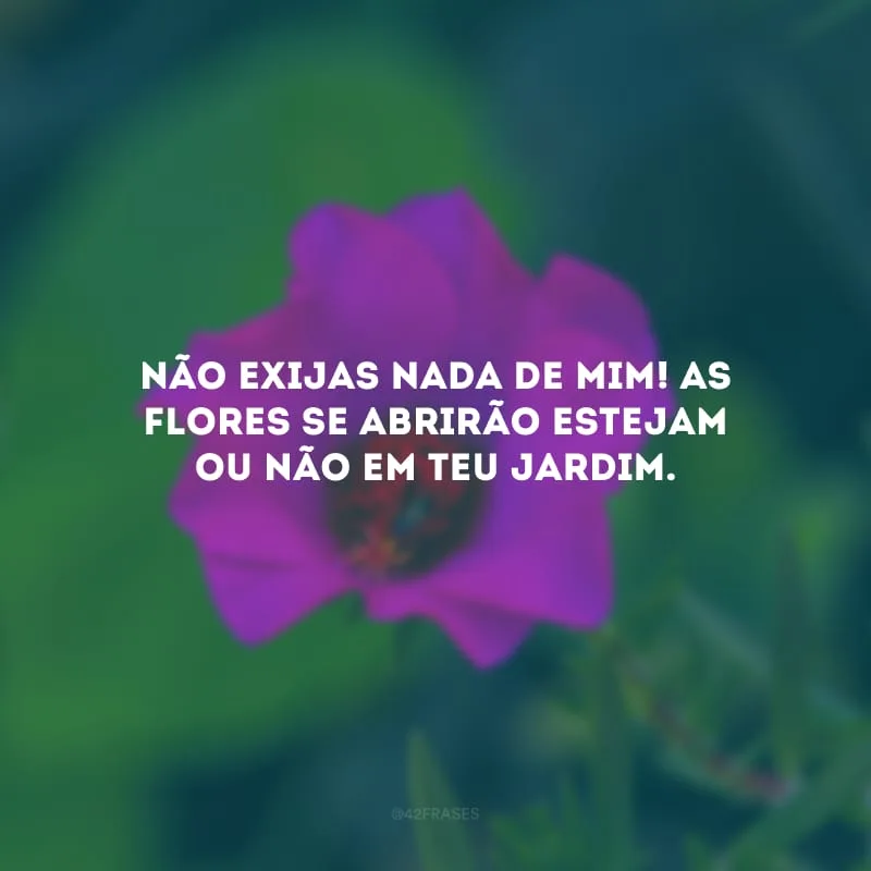 Não exijas nada de mim! As flores se abrirão estejam ou não em teu jardim.