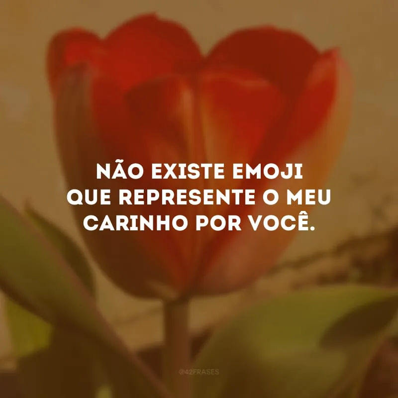 Não existe emoji que represente o meu carinho por você.