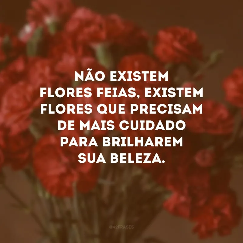 Não existem flores feias, existem flores que precisam de mais cuidado para brilharem sua beleza.