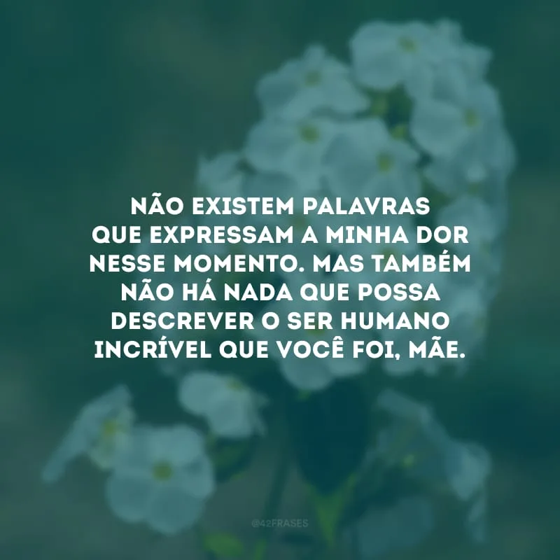 Não existem palavras que expressam a minha dor nesse momento. Mas também não há nada que possa descrever o ser humano incrível que você foi, mãe.