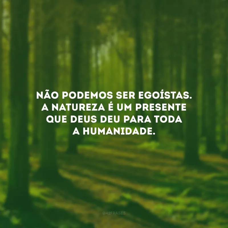 Não podemos ser egoístas. A natureza é um presente que Deus deu para toda a humanidade.
