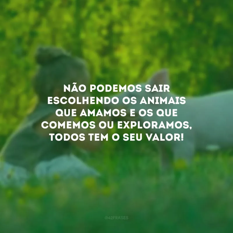 Não podemos sair escolhendo os animais que amamos e os que comemos ou exploramos, todos tem o seu valor!