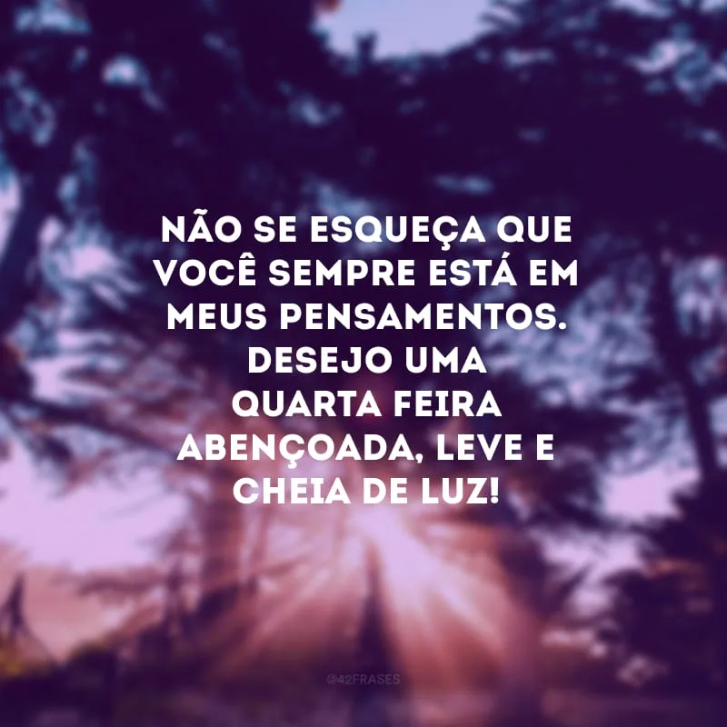 Não se esqueça que você sempre está em meus pensamentos. Desejo uma quarta-feira abençoada, leve e cheia de luz!