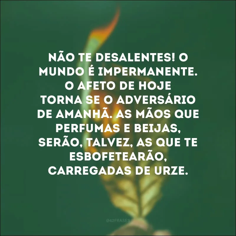 Não te desalentes! O mundo é impermanente. O afeto de hoje torna-se o adversário de amanhã. As mãos que perfumas e beijas, serão, talvez, as que te esbofetearão, carregadas de urze.