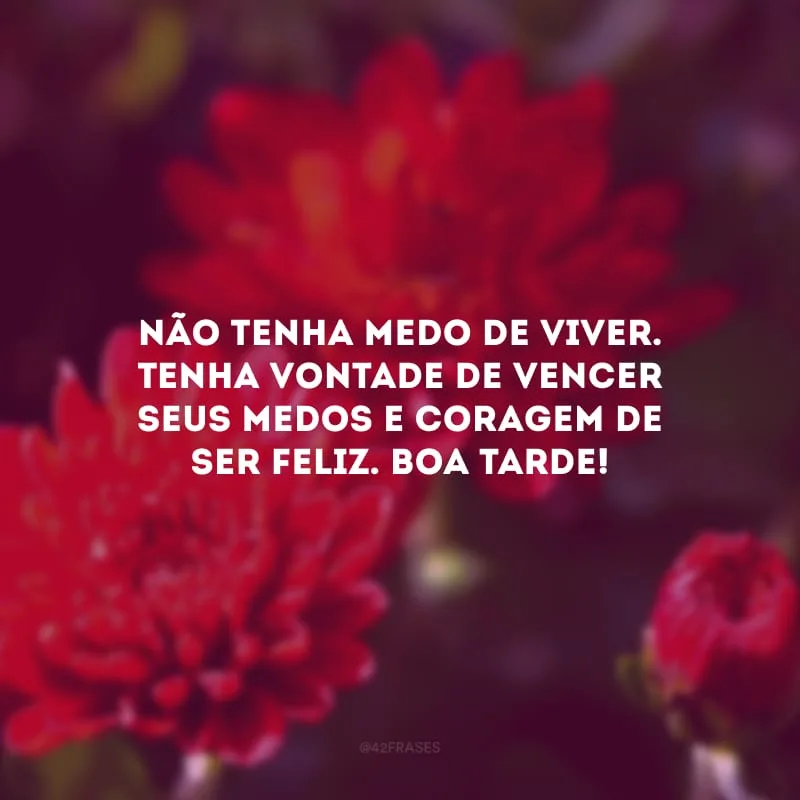 Não tenha medo de viver. Tenha vontade de vencer seus medos e coragem de ser feliz. Boa tarde!