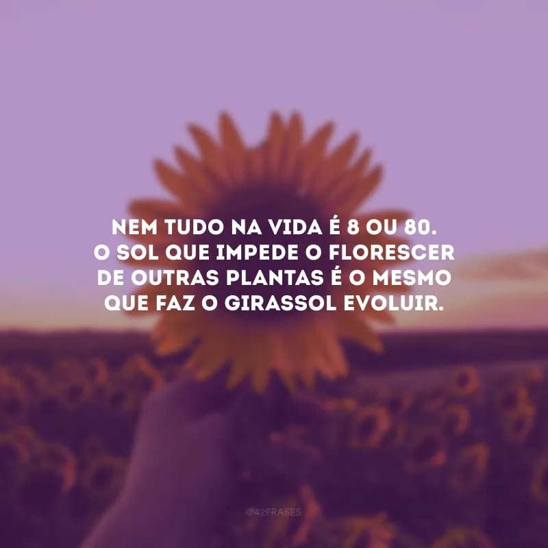 Nem tudo na vida é 8 ou 80. O sol que impede o florescer de outras plantas é o mesmo que faz o girassol evoluir.