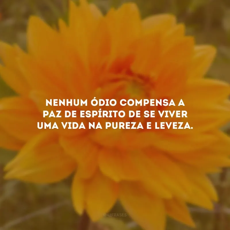 Nenhum ódio compensa a paz de espírito de se viver uma vida na pureza e leveza.