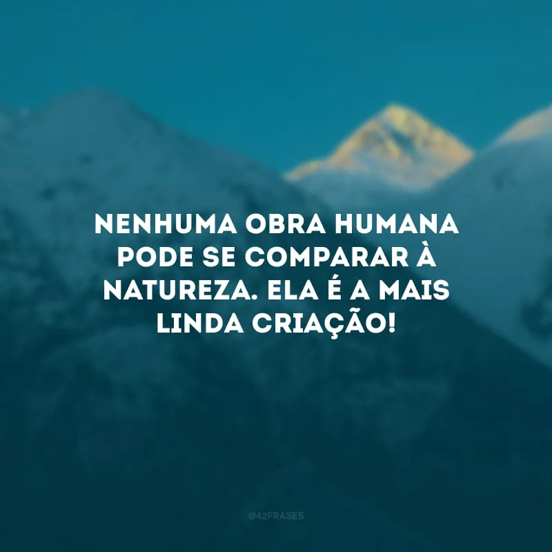 Nenhuma obra humana pode se comparar à natureza. Ela é a mais linda criação!
