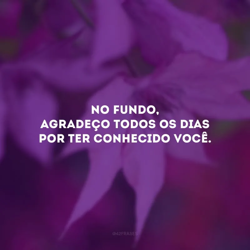 No fundo, agradeço todos os dias por ter conhecido você.